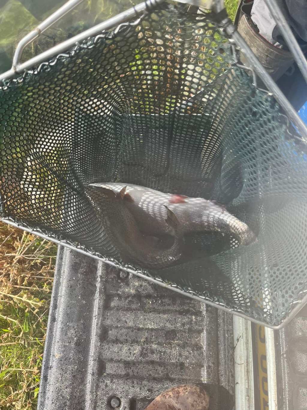 Helwith Bridge Fly&nbsp;Fishery